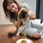 Shirley Setia Instagram – Celebrated my baby’s 2nd birthday recently ♥️ 

All he could see was his cake 😂 (aisa focus hona chahiye life mein) 

#happybirthday Lokii 😘🐱 @lokisylviethor 

#catsofinstagram #cats #catstagram #catmom #shirleysetia