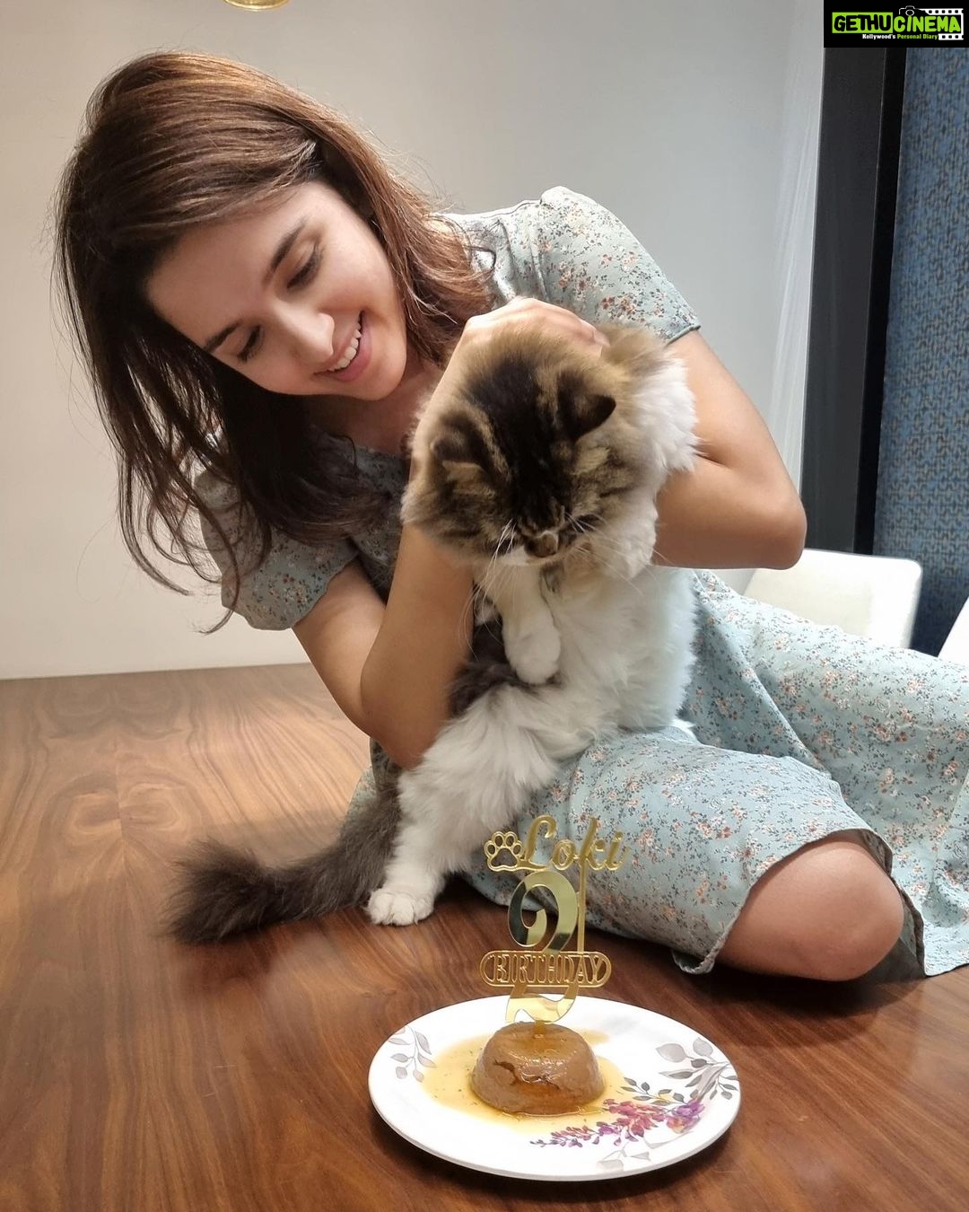 Shirley Setia Instagram - Celebrated my baby’s 2nd birthday recently ♥️ All he could see was his cake 😂 (aisa focus hona chahiye life mein) #happybirthday Lokii 😘🐱 @lokisylviethor #catsofinstagram #cats #catstagram #catmom #shirleysetia