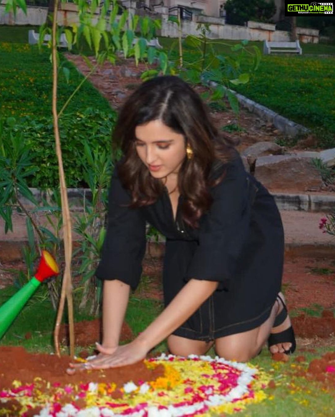 Shirley Setia Instagram - I've accepted #HaraHaiTohBharaHai #GreenIndiaChallenge and planted 3 saplings. ππ± I further nominate @venkateshdaggubati garu , @rajkummar_rao sir, @TheShilpaShetty mam, & @abhimanyud to do the same! Letβs continue the chain.. great initiative by #MPSantoshKumar garu ππ