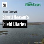 Shruti Haasan Instagram – #WaterTales💧with Shruti Haasan’s Field Diaries
 
🌆 Every city across #India is blessed with wetlands or rivers that help cities meet their #water demands. But, as per statistics, there’s a need for water conservation and change starts with you.
 
Share your water #conservation story and tag me and @wwfindia to be a water ⭐️.
 
#FieldDiaries #GreenCarpet #TogetherPossible