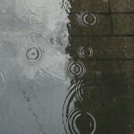 Sonam Bajwa Instagram - The sound of rain ….