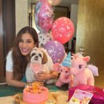 Sophie Choudry Instagram – Happy bday to my little jaan, my precious heartbeat, the one that loves & licks unconditionally & the one we are thankful for every single moment. We love you Tia. Thank you for coming into our lives & making everything better😘🥰🎂🧿 Tku Pooj as always for her fave cake💕

#tiachoudry #bdaygirl #shihtzu #shihtzusofinstagram #dogmom #sophiechoudry #bdaycake #doglover #dogsofinstagram #cutie #mamasgirl