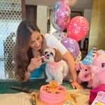 Sophie Choudry Instagram - Happy bday to my little jaan, my precious heartbeat, the one that loves & licks unconditionally & the one we are thankful for every single moment. We love you Tia. Thank you for coming into our lives & making everything better😘🥰🎂🧿 Tku Pooj as always for her fave cake💕 #tiachoudry #bdaygirl #shihtzu #shihtzusofinstagram #dogmom #sophiechoudry #bdaycake #doglover #dogsofinstagram #cutie #mamasgirl