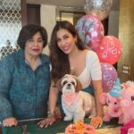 Sophie Choudry Instagram – Happy bday to my little jaan, my precious heartbeat, the one that loves & licks unconditionally & the one we are thankful for every single moment. We love you Tia. Thank you for coming into our lives & making everything better😘🥰🎂🧿 Tku Pooj as always for her fave cake💕

#tiachoudry #bdaygirl #shihtzu #shihtzusofinstagram #dogmom #sophiechoudry #bdaycake #doglover #dogsofinstagram #cutie #mamasgirl
