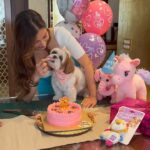 Sophie Choudry Instagram - Happy bday to my little jaan, my precious heartbeat, the one that loves & licks unconditionally & the one we are thankful for every single moment. We love you Tia. Thank you for coming into our lives & making everything better😘🥰🎂🧿 Tku Pooj as always for her fave cake💕 #tiachoudry #bdaygirl #shihtzu #shihtzusofinstagram #dogmom #sophiechoudry #bdaycake #doglover #dogsofinstagram #cutie #mamasgirl