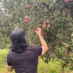 Suniel Shetty Instagram – Because an apple a day keeps the owner at bay !!
@khullarnakul  @baragarh_resort_spa 
#morningvibes #farmtotable #naturalbeauty #himachal #healthyfood