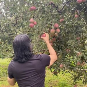 Suniel Shetty Instagram - Because an apple a day keeps the owner at bay !!
@khullarnakul  @baragarh_resort_spa 
#morningvibes #farmtotable #naturalbeauty #himachal #healthyfood
