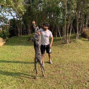Suniel Shetty Instagram - Those who teach us most about humanity, aren’t always humans....Donald Hicks.With the boys Duke, Storm, Atlas and Alpha