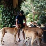 Suniel Shetty Instagram – They heal, destress & refresh with their undivided love & attention…A day well spent with my boys Troy, Duke & Storm 
Photo Courtesy @athiyashetty