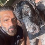 Suniel Shetty Instagram - Staying PAWsitive !! #dogsofinstagram #mylove #mylife #bestfriends #life #faithful #happiness