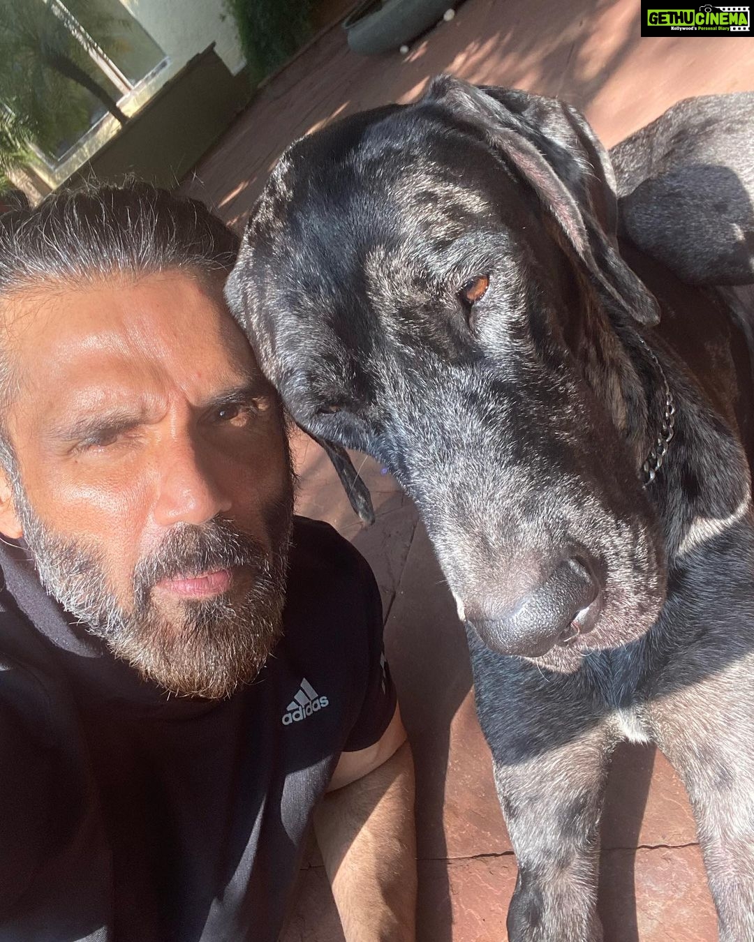 Suniel Shetty Instagram - Staying PAWsitive !! #dogsofinstagram #mylove #mylife #bestfriends #life #faithful #happiness