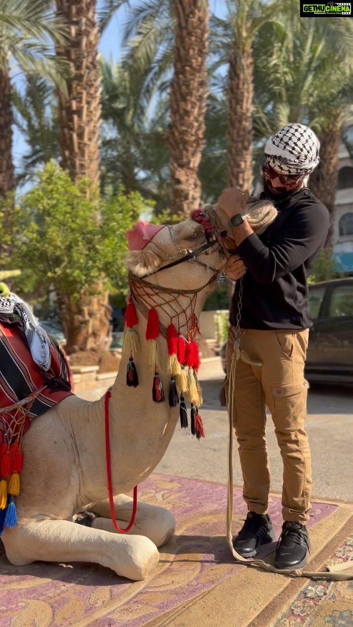 Tovino Thomas Instagram - 🐪 #camelkiss #jericho #palastine Jericho - Israel ( Palestina )