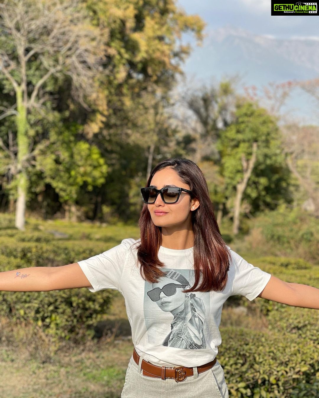 Tridha Choudhury Instagram - Embracing Love & Abundance 🌿 What are you embracing today ??? Leave your comments 🌿 #wildlifeonearth #happiestplaceonearth #earthexperience #travelwithlove #travelwithtridha #travelmore #travel2021 #travelandleisure #travelandliving #loved #selflove