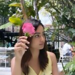 Tridha Choudhury Instagram – ‘A Rose of Hope for you ‘💛- #misstriouslyyours 

#hopelessromantic #hopeandfaith #hopeandhealing #loveheals #love #loveyourself #miamibeach #miamiflorida #miamilife #miamisprings #springseason #springbreak #springbreakmiami