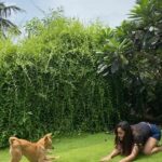 Tridha Choudhury Instagram – Just a Walk in the Jungle 🍀

Meet my Patronus… We named her Mishti 🍀

#patronus #harrypotter #barked #barkedtongueout #dogsofinstagram #dog