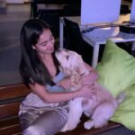 Tridha Choudhury Instagram - This song is from @zuzuboii to me … innit ??? 🪬 #thewayhelooksatme #puppylove #dogsofinstagram #instadog #doginfluencer #furryfriends