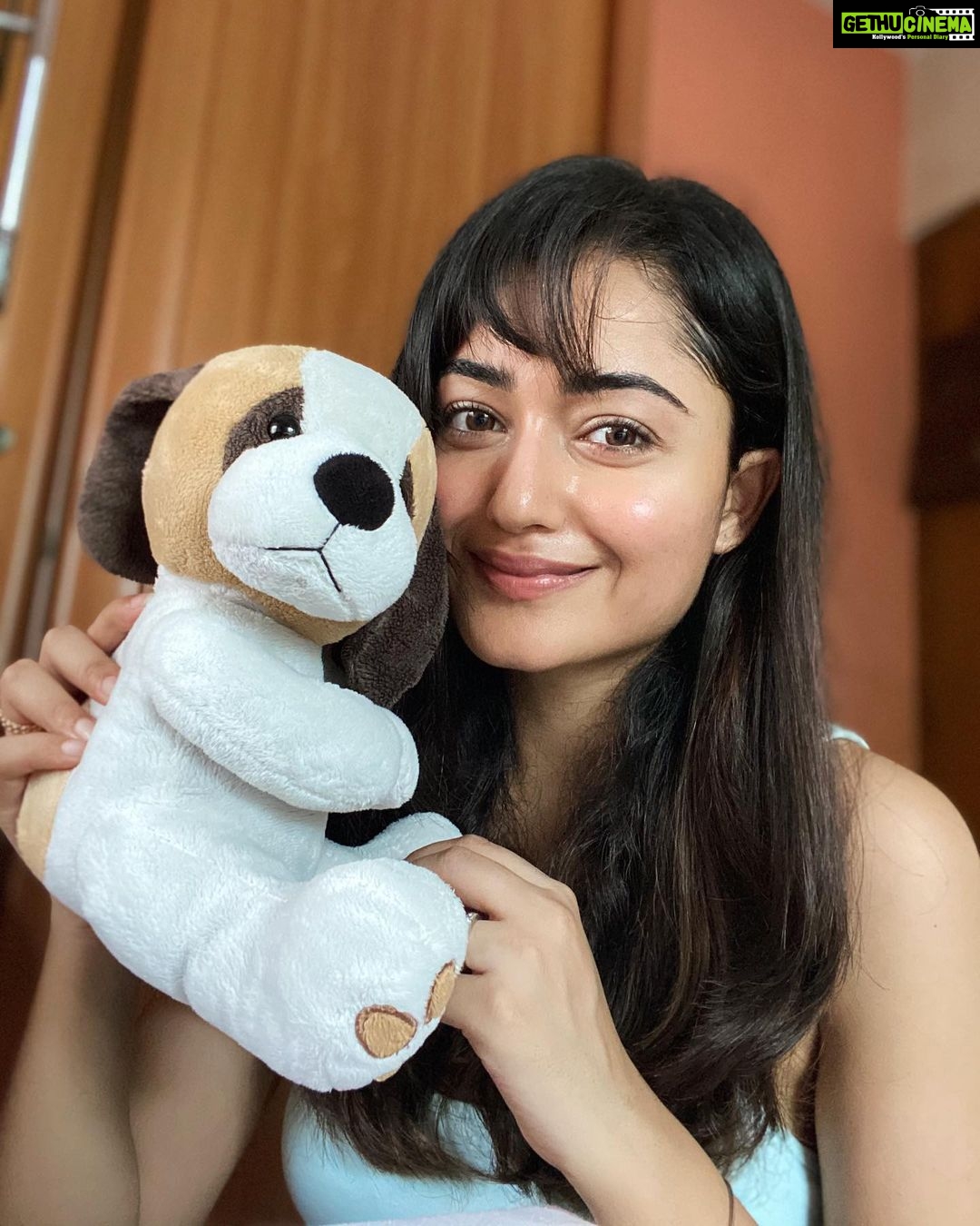 Tridha Choudhury Instagram - Meet Mr.Paws... we have been in a Relationship since the 7th grade !!! š§ My #1 since schooldays š§ He is wishing all of you a Very merry week ahead š§ #schooldays #schoolmemories #lockdown2020 #lockdownindia #skincareroutine #skincaredaily