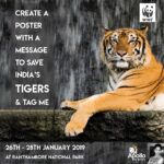 Upasana Kamineni Instagram - @wwfindia @apollofoundation & I R GOING WILD ! Join us on an expedition like never before! Experience tiger land like no one else ! All u need to do is to create a poster on HOW WE CAN SAVE THE TIGER ! Don’t forget to tag me ! It’s around the corner, so get going ! Let’s have a WILD time together 😁 #upasana Ranthambore National Park
