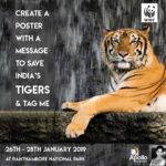 Upasana Kamineni Instagram – @wwfindia @apollofoundation & I R GOING WILD ! Join us on an expedition like never before! Experience tiger land like no one else ! All u need to do is to create a poster on HOW WE CAN SAVE THE TIGER ! 
Don’t forget to tag me ! It’s around the corner, so get going ! Let’s have a WILD time together 😁 #upasana Ranthambore National Park