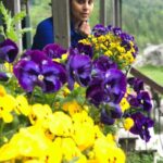 Upasana Kamineni Instagram – When Mr.C decides to take ur picture. ❤️😘 stopped by to capture the beauty of nature. Love the flowers & the photographer 😁 #specialmoments