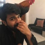 Upasana Kamineni Instagram - Our new pet - courtesy the warm people of the villages around Rajamundry. Too sweet. Mr c is really getting into the character of his next film. 😁Nice experience (for now ) to wake up to the sound of chickens in the middle of the city. 🐔