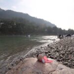 Upasana Kamineni Instagram – The yoga capital of the world sounds like a good place to pause, and meditate. @puppetdiaries 
#PuppetDiaries #TalesOfANomadPuppet #PuppetLife

#Karlito #Karlbug #KarlLagerfeld #Rishikesh #RishikeshDiaries #InternationalYogaFestival #YogaFestival #Yoga #YogaDiaries #Travel #TravelPhotography #Spiritual #SoulSearching #Uttarakhand #IncredibleIndia #Ganga #Ganges