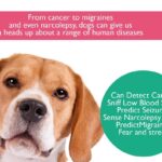 Upasana Kamineni Instagram - How amazing is this! Every disease is curable if detected early. Be aware of the signals ur body gives u. And get a pet for sure 🙏🏼😊