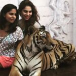 Upasana Kamineni Instagram - Feel horrible about this pic. Unaware of the #animalabuse in #thailand #neveragain #tigertemple #brutal Thailand