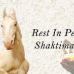 Upasana Kamineni Instagram - Rip #shaktimaan why should animals suffer cos of humans. I'm against #animalabuse . This is just one out of the thousands that suffer everyday.