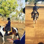 Upasana Kamineni Instagram - Early morning #horse ride. Joining charan's #workout regime over the weekend. Already exhausted! Bangalore, India