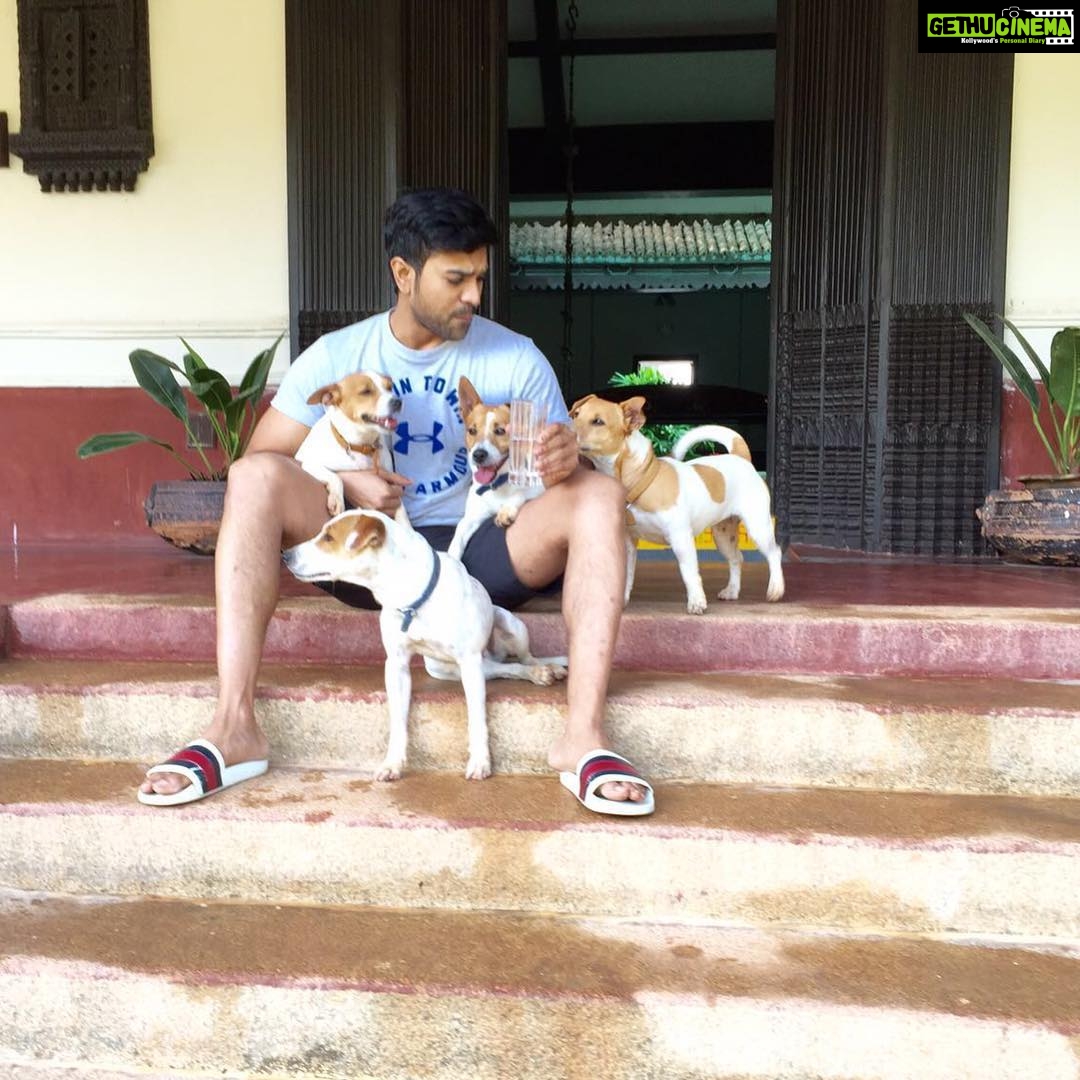 Upasana Kamineni Instagram - Love u guys #jackrussell family come back to hyderabad soon.
