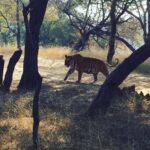 Upasana Kamineni Instagram -