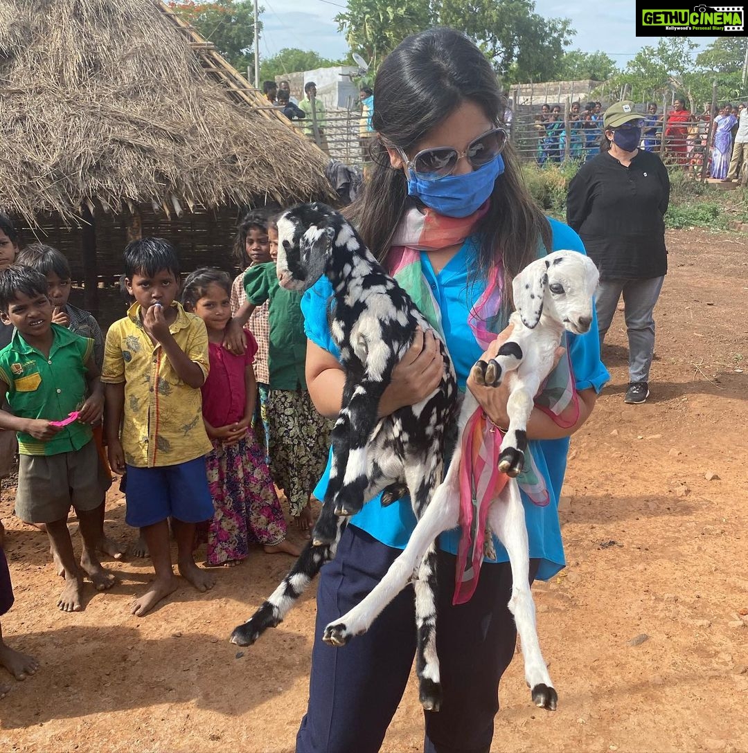 Upasana Kamineni Instagram - These cute little lamb are going to end up becoming a hearty meal for this Chenchu tribe sometime soon. I’ve learn to accept & respect people’s eating habits & cultures. The Chenchu’s are amazing, their love for Mother Nature is unmatchable. It’s not right to shove our beliefs & opinions on others. Spread the message by suggesting conscious & ethical eating habits. Eat meat, but in moderation & know the source. The planet & our bodies need us to become more aware of the food choices we are making. Amrabad Tiger Reserve