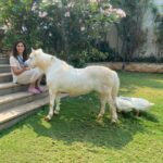 Upasana Kamineni Instagram - Self isolation doesn’t apply to my darling daisy. This is the best time to show pets, how much u love and care about them. Some heartless people have been abandoning their pets during this time - it’s extremely cruel. The love & care u show towards ur pets speaks volumes about ur personality.