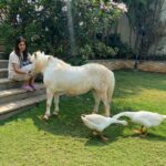 Upasana Kamineni Instagram - Self isolation doesn’t apply to my darling daisy. This is the best time to show pets, how much u love and care about them. Some heartless people have been abandoning their pets during this time - it’s extremely cruel. The love & care u show towards ur pets speaks volumes about ur personality.