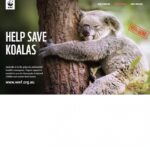 Upasana Kamineni Instagram - Feeling helpless like me ! Here’s what u can do. - Donate to save koalas 🐨 - re use , reduce & recycle ♻️ - learn about the endangered species in the AP & TG regions at end of the video - learn to want less ! Our Greed is killing the planet. @wwf_australia @wwfindia @apollofoundation #globalwarming #australia