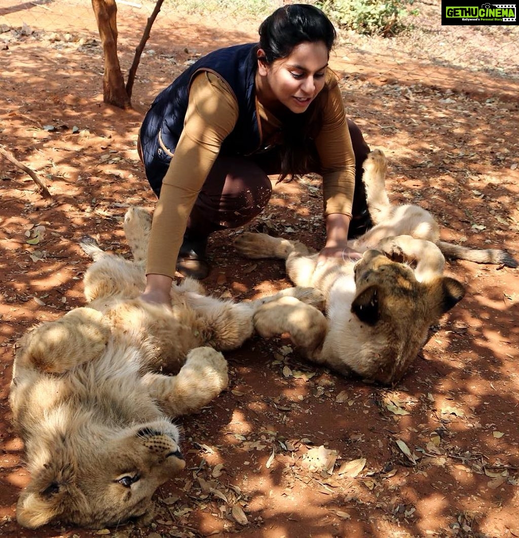 Upasana Kamineni Instagram - Now u know why Mr C married me 😉 ! On a more serious note : #Africa taught us so many lessons - respect mother nature , observe & learn from the wild , follow ur animal instincts & respect nature & animals. Mr C & I were very fortunate to witness wildlife in its wildest format - we’re scared this experience might not last for the generations ahead. Time to get our act together. Small changes make a big difference. Everything adds up. It’s time for u to figure how u can help. The picture above is a #throwback form a lion conservation / rehabilitation centre / orphanage in Africa. Don’t encourage zoo’z . let the animals be wild - it’s their right. #ramcharan @jungsaad