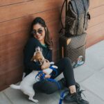 Upasana Kamineni Instagram – Customised to perfection. #unconditionallove – our baby brat ! 
@louisvuitton 
@sandysartistry 
@eshaangirri
#jackrussellterrier #ramcharan #upasana #ad