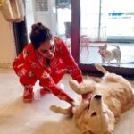 Upasana Kamineni Instagram - Sunday chilling with our babies - all showered & clean ❤️🥰 missing Mr C #ramcharan Hyderabad