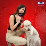Vaani Kapoor Instagram - @DroolsIndia and I wish you a very happy & blessed Diwali! ✨ Let’s make this Diwali a joyful one for our furry friends with wholesome Drools Adult Gravy! Feed Real. Feed Clean. P.S.- Keep them safe from crackers and loud noise 💛 🐶