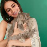 Vaani Kapoor Instagram - The one with.. 🐱 📸 🤩❤️ #diwalicelebration ✨