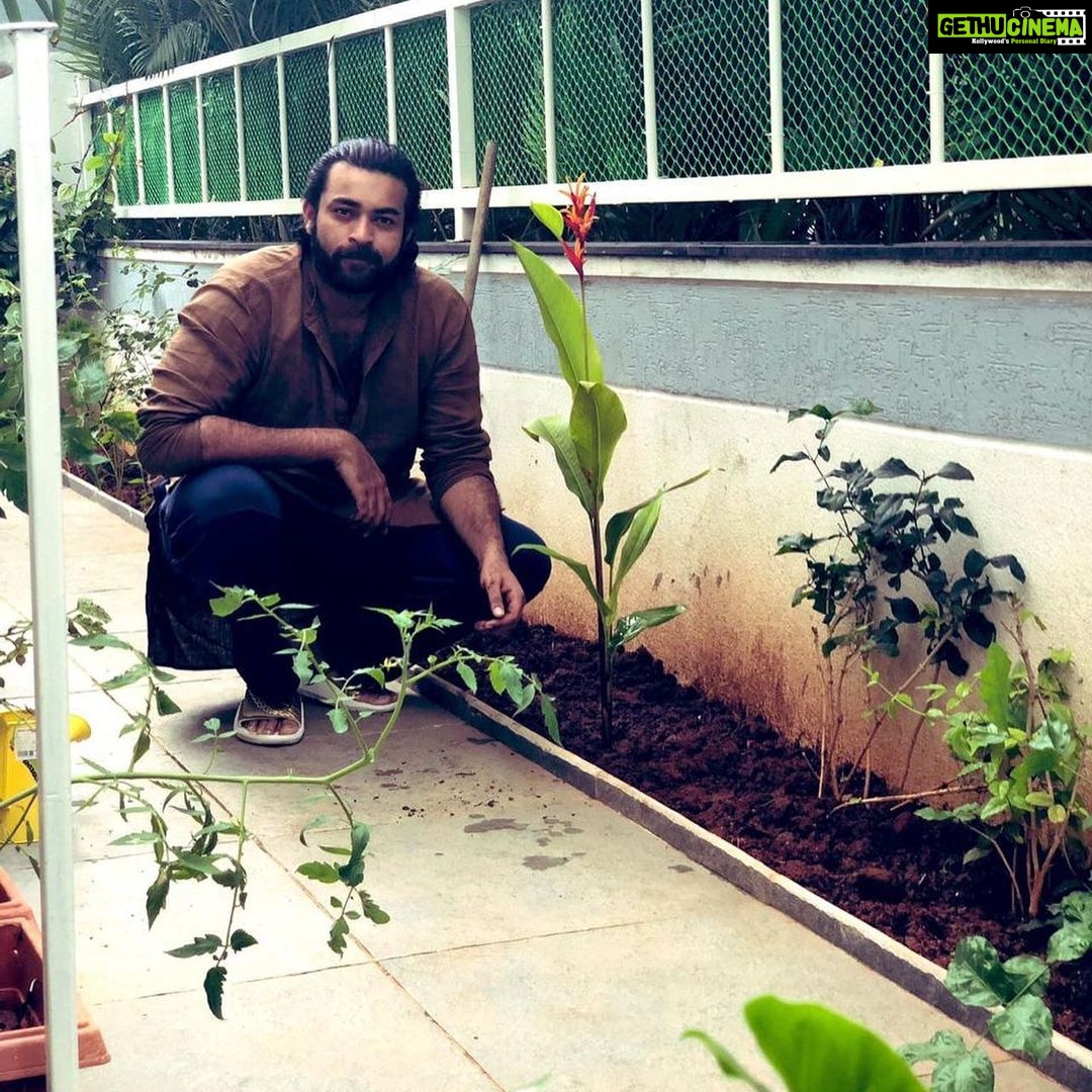 Varun Tej Instagram - Thanks for nominating me Santosh Kumar garu & @akkineniakhil for the #GreenIndiaChallenge Been a bit busy. But it’s never too late to do a good deed! Taking this initiative forward by nominating @saipallavi.senthamarai & @tamannaahspeaks to take this up #HaraHaitohBharaHai