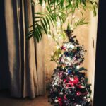 Varun Tej Instagram - Merry Christmas peeps!! 🎄🎅🏽🎅🏽🎅🏽🎄 Thanks for putting up this tree at home @niharikakonidela