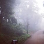 Varun Tej Instagram – Way back from shoot!..
#chikmagalur#mist#lush#greens#shoot#mister Chikmagalur