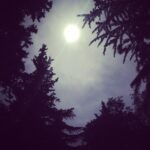 Varun Tej Instagram -