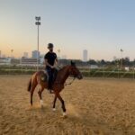 Vicky Kaushal Instagram - Walk and trot. Back to basics. 🐎
