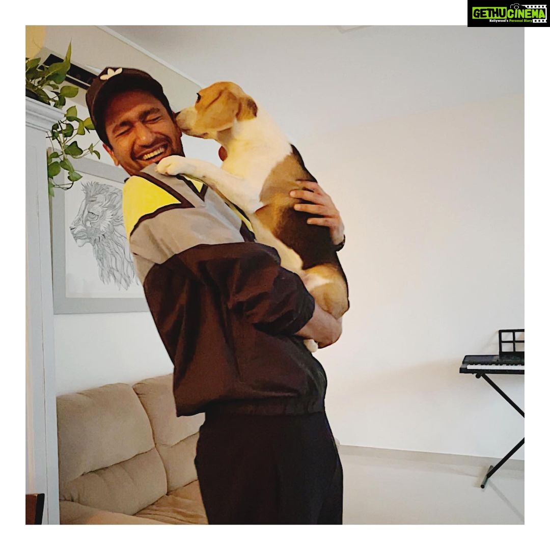 Vicky Kaushal Instagram - Padosan. #Bella 🐶🧡