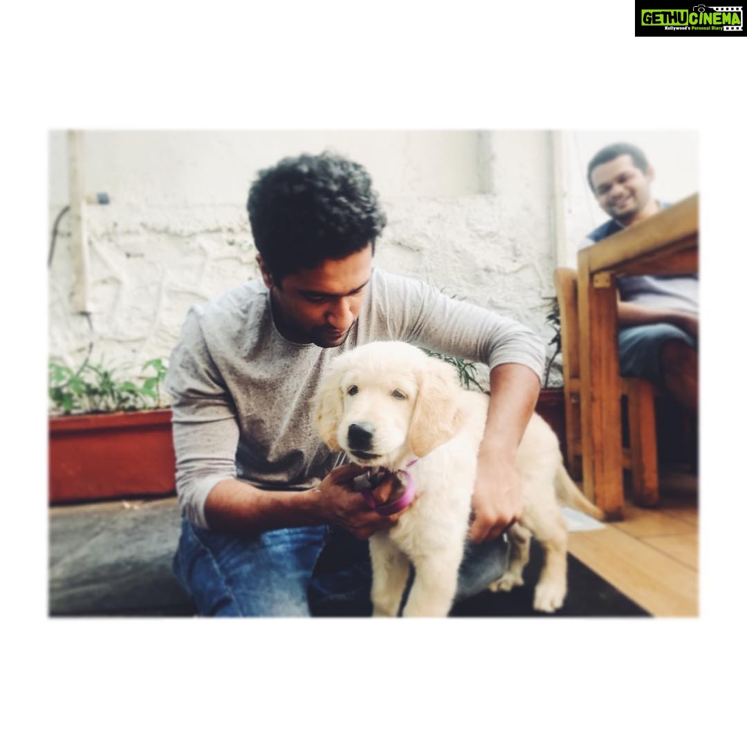 Vicky Kaushal Instagram - Made a new friend this sunday 🐶❣️