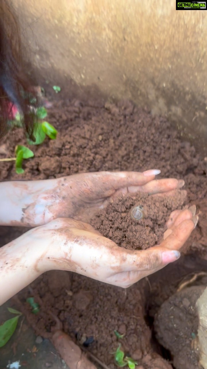 Warina Hussain Instagram - small steps towards a greener planet. I believe the change starts from your own backyard πππ thanks to Mali bro π§πΌβπΎ and my friends @guptaziii @laksh0607 #mothernature #plantatree #giveback #naturelover #nature