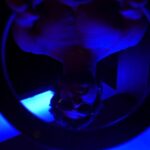 Abhimanyu Dasani Instagram - Blue flame 🔥 #PaaniTohPeeteRehnaChahiye 🥤 #invincible #popsmoke #transformation